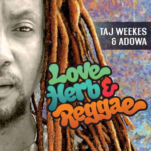 Love Herb & Reggae